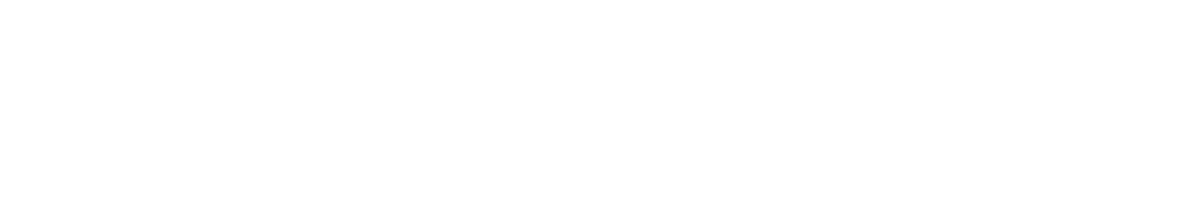 НетоТермінал